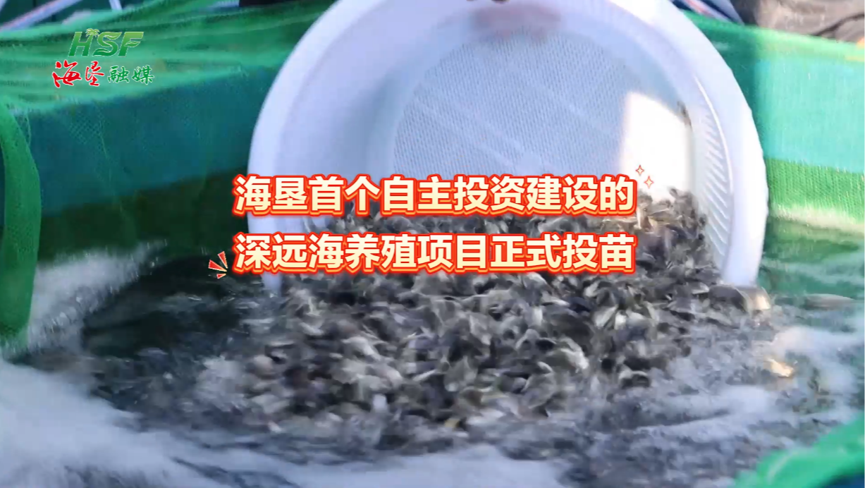 海墾首個(gè)自主投資建設(shè)的深遠(yuǎn)海養(yǎng)殖項(xiàng)目正式投苗