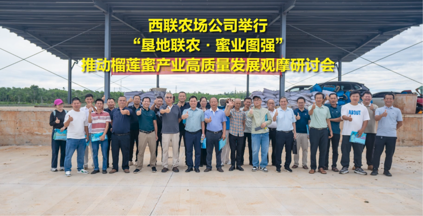 西聯(lián)農(nóng)場公司舉行“墾地聯(lián)農(nóng)·蜜業(yè)圖強”推動榴蓮蜜產(chǎn)業(yè)高質(zhì)量發(fā)展觀摩研討會