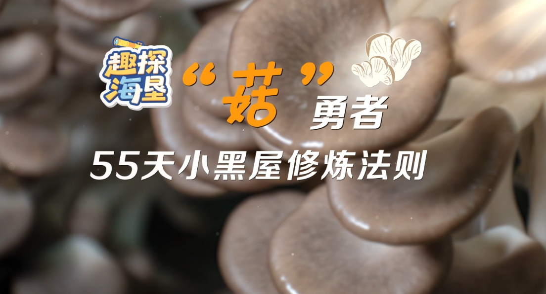 Ȥ̽&岹;&岹;&ܴ;&ܴ;ߣ55С