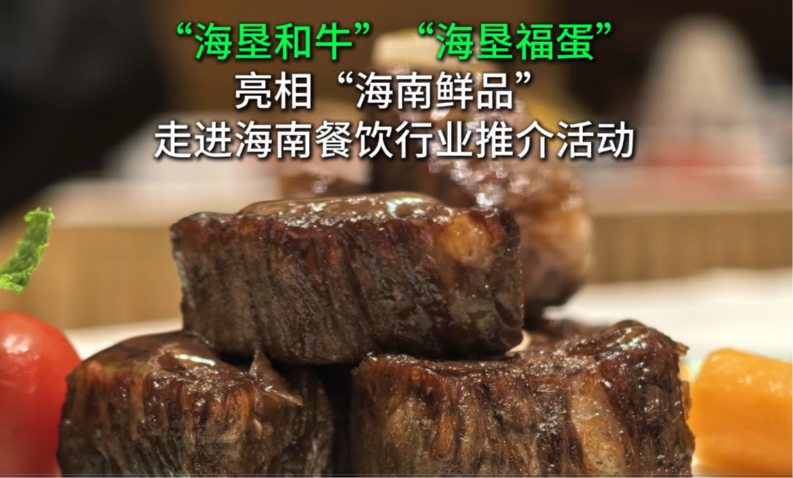 “海墾和牛”“海墾福蛋”亮相“海南鮮品 走進海南餐飲行業推介活動”