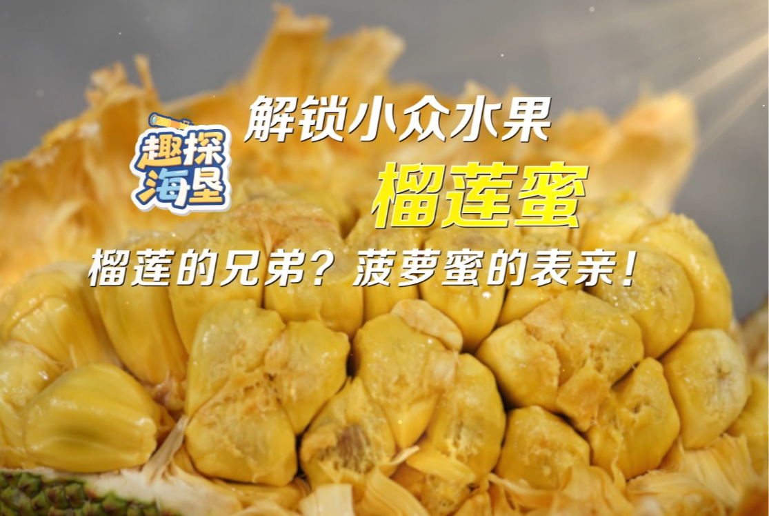 趣探海墾——解鎖小眾水果榴蓮蜜 榴蓮的兄弟？菠蘿蜜的表親！
