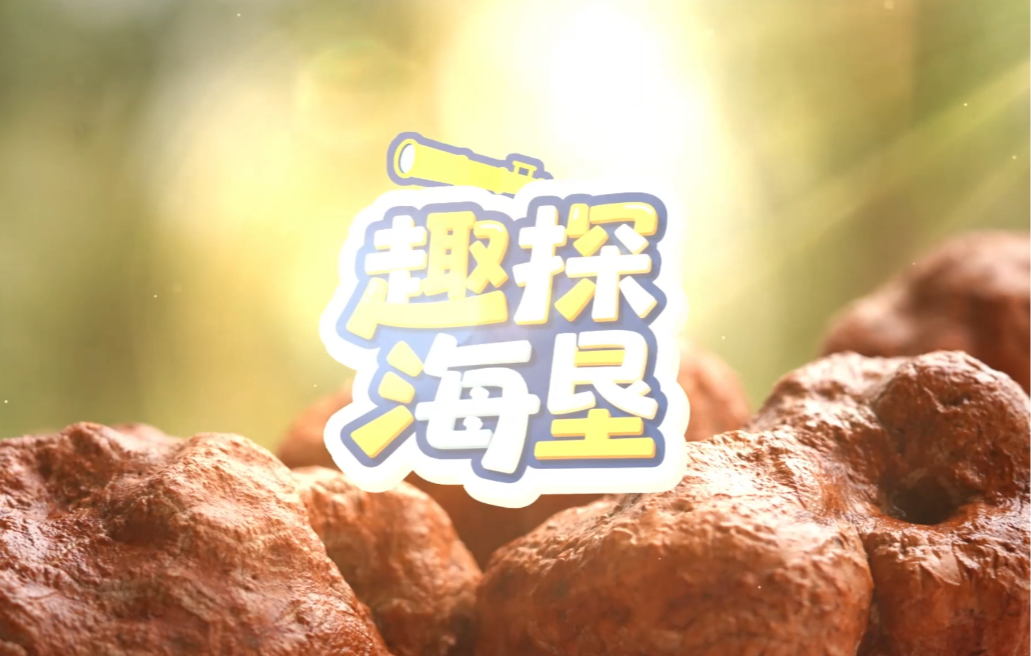 趣探海垦——地里长“石头”，原来是个宝