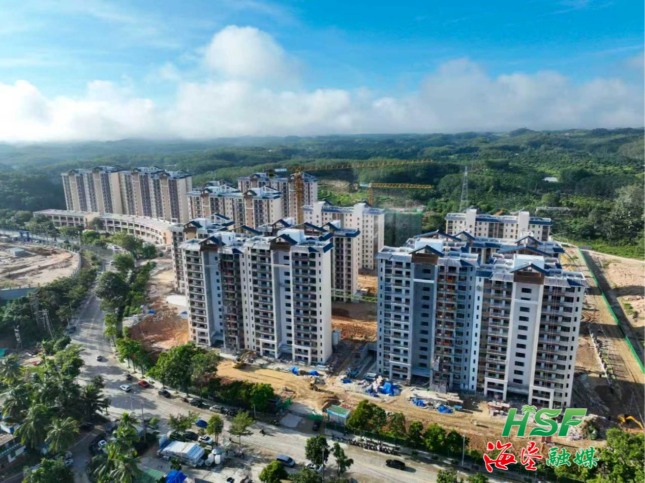 海墾實業公司七十日攻堅拼出發展“加速度”