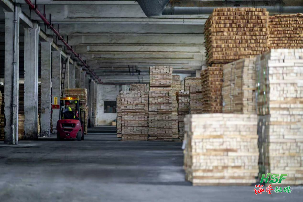 從深陷困局到實現盈利！看海南橡膠林產改革“三步棋”走活一盤棋