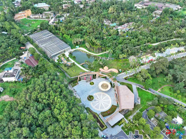 从“老农垦”到“新标杆”的破局之路