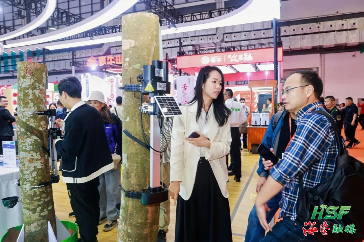 潮涌南海，十年&ldquo;墾&rdquo;出新天地