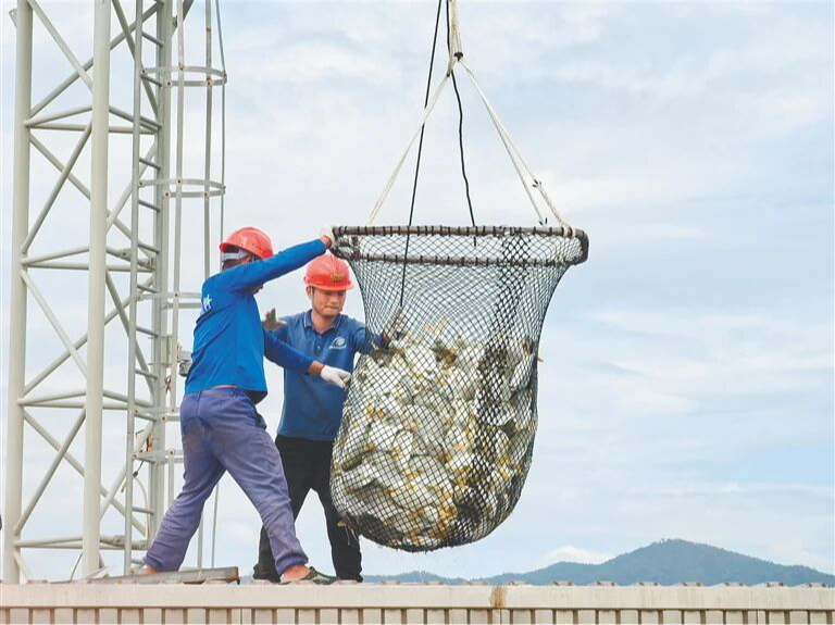 海垦海洋集团：一条鱼&ldquo;游&rdquo;出一个产业链